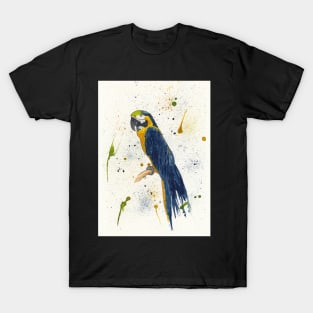 Dark Blue and Gold Macaw T-Shirt